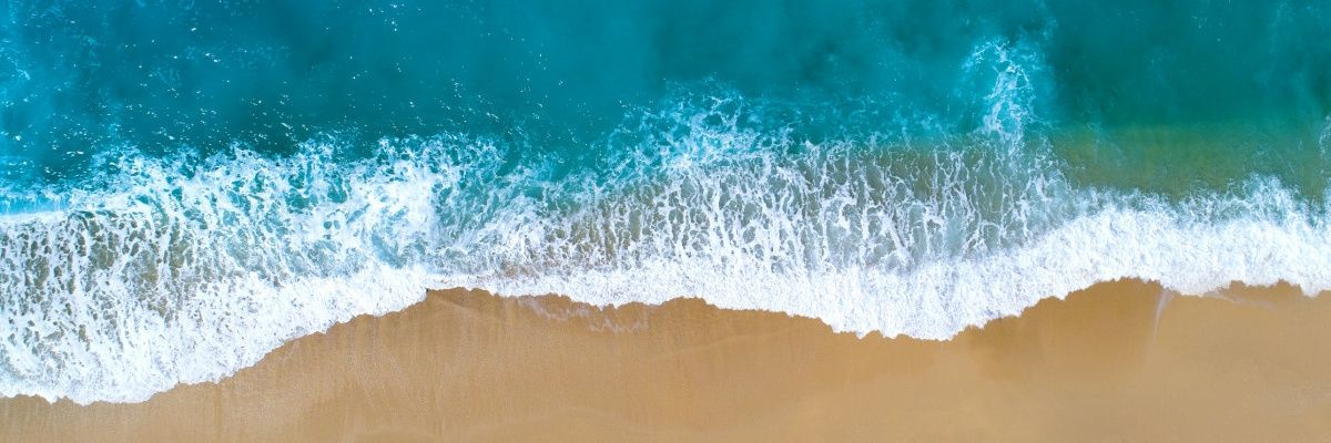 bibonblous's profile banner image
