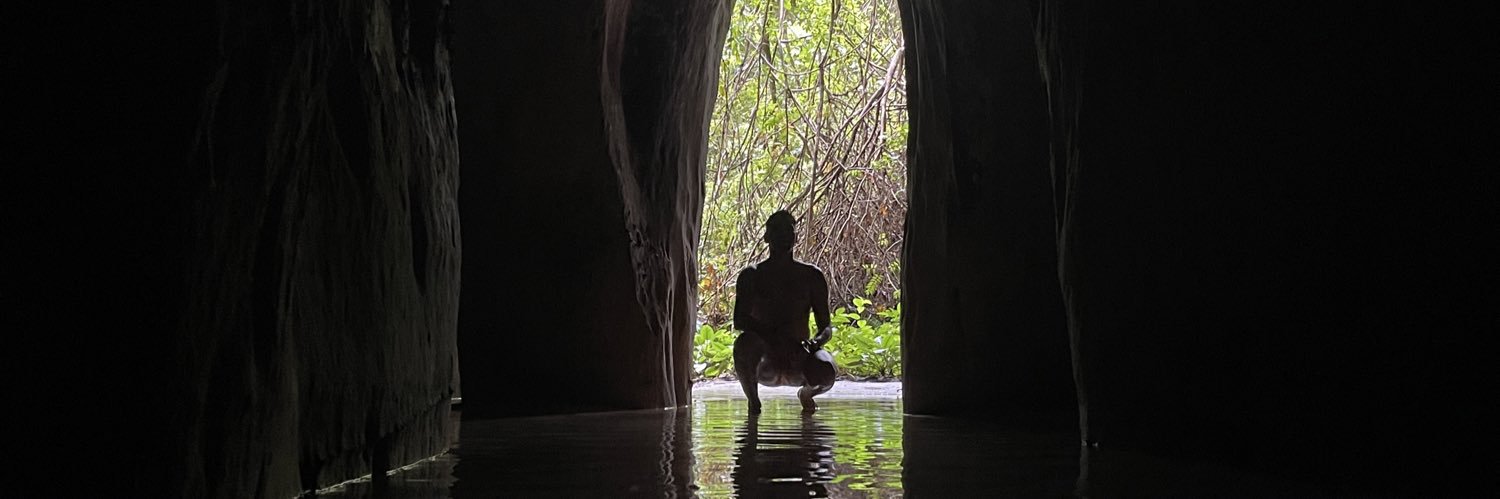 Junior Araujo banner