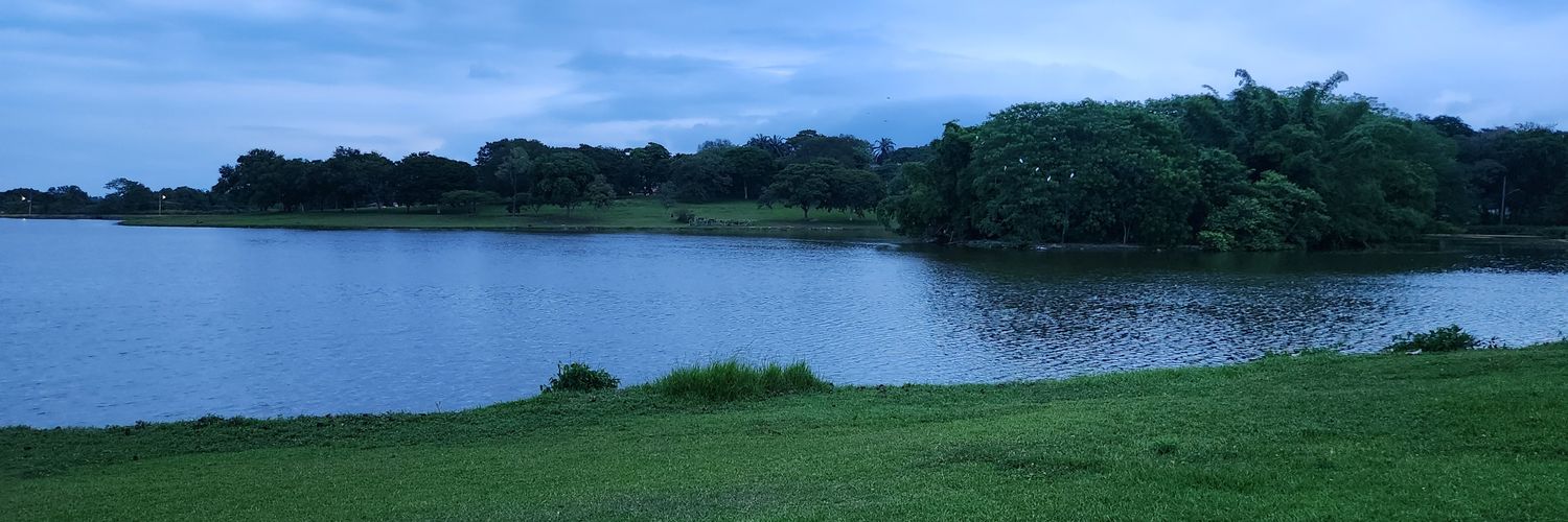 MateusFelipePp's profile banner image