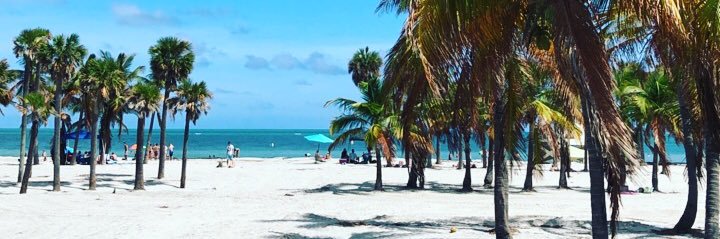 Guillermo Langle banner