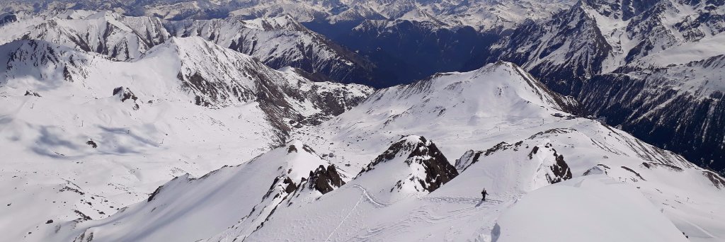 Aaron Muylaert banner