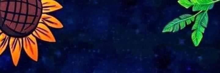 barbs_cv's profile banner image