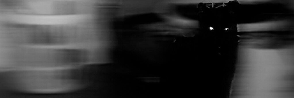 SisiD_'s profile banner image