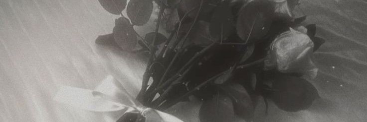 claracollectlk's profile banner image