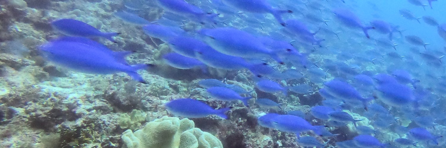 Lady Edmiston banner