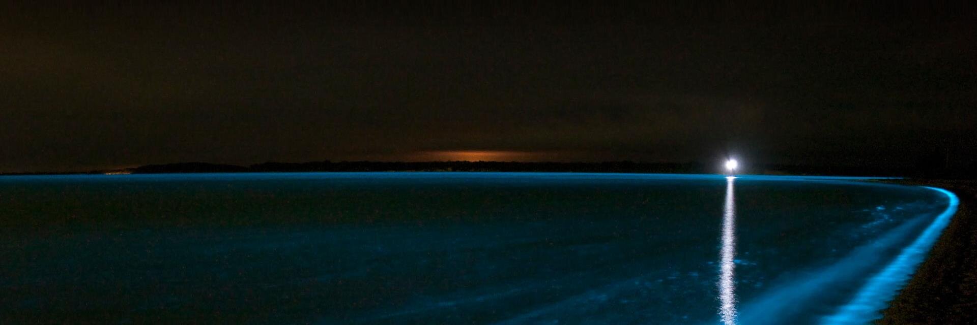 2Devious was taken banner