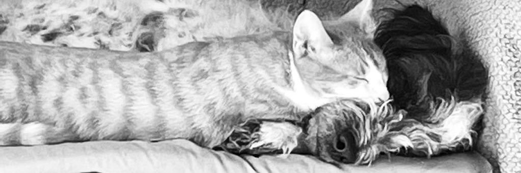 updatat's profile banner image