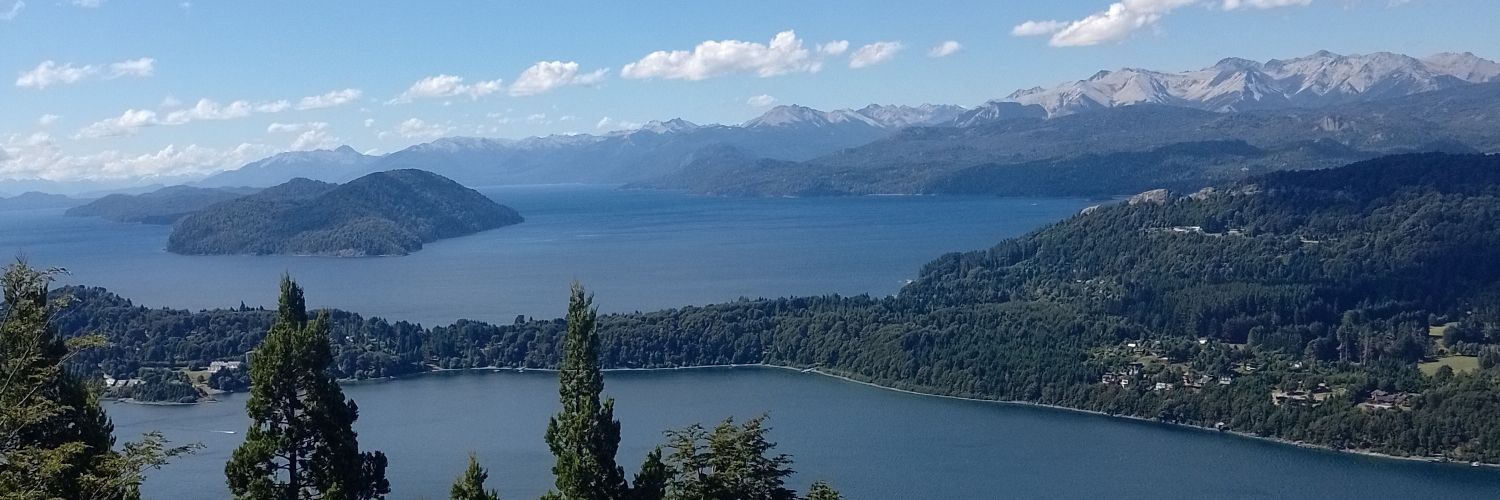 CeluFerrini's profile banner image