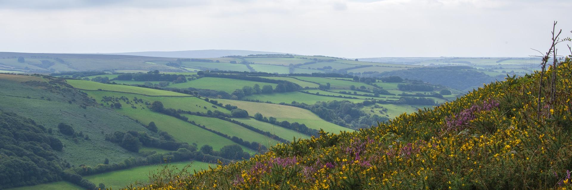 stuart walker banner