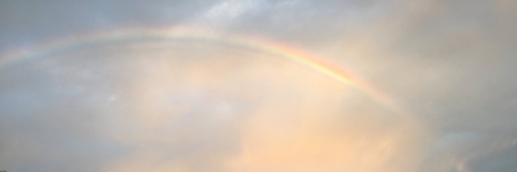 LittleBitofBlah's profile banner image