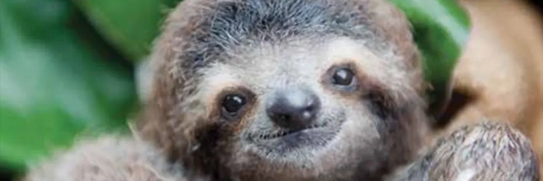 •J•Å•C•K•🇧🇪🏴󠁧󠁢󠁳󠁣󠁴󠁿 banner