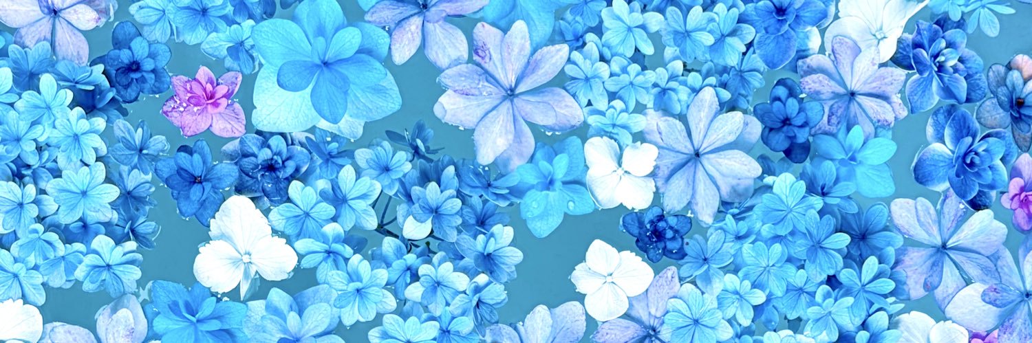 amespi_regular's profile banner image