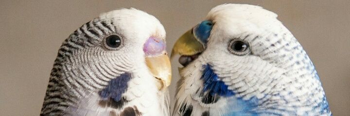 krissmll's profile banner image