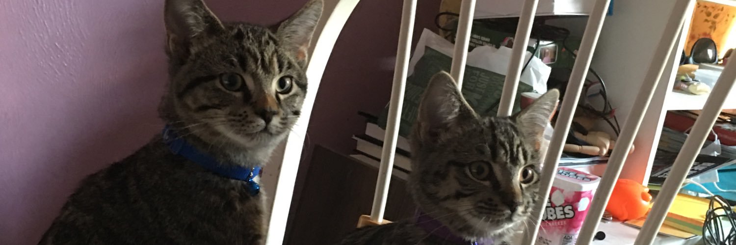KittyFuture 🍉 banner