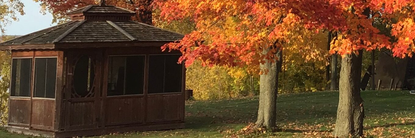 rouleau_a's profile banner image