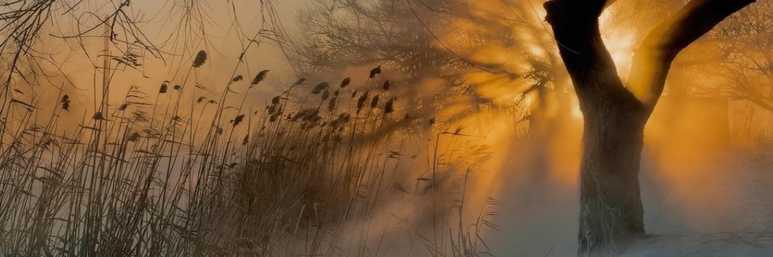 jean_monaghan's profile banner image