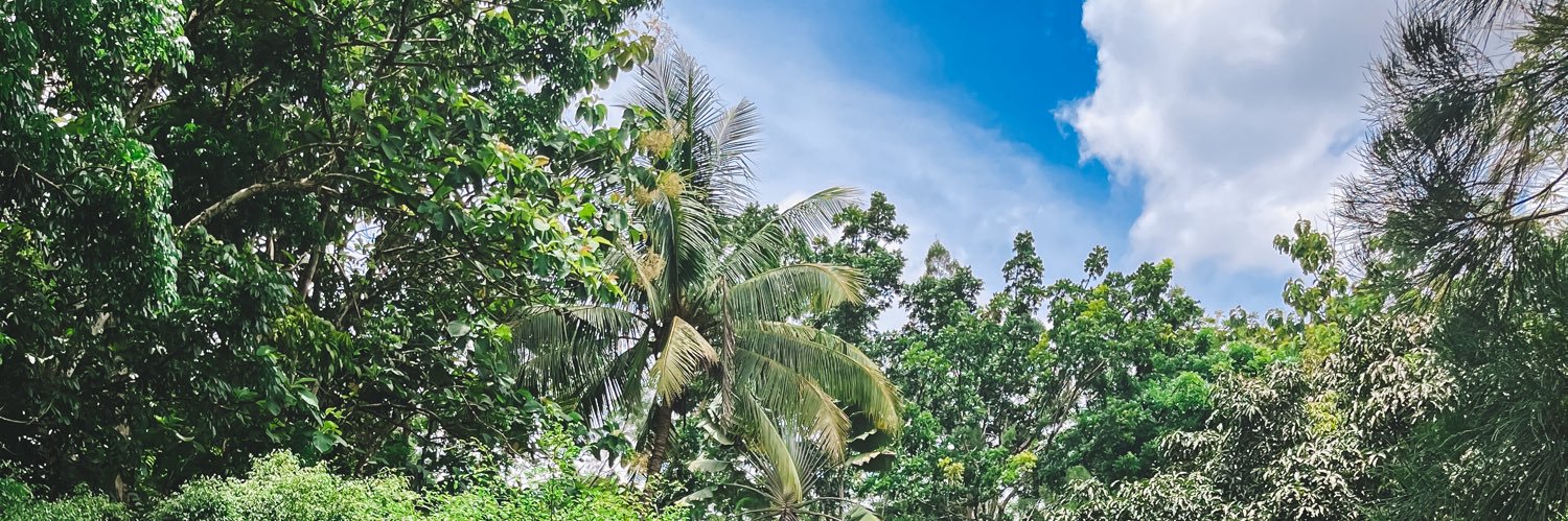 Inyakimolla's profile banner image