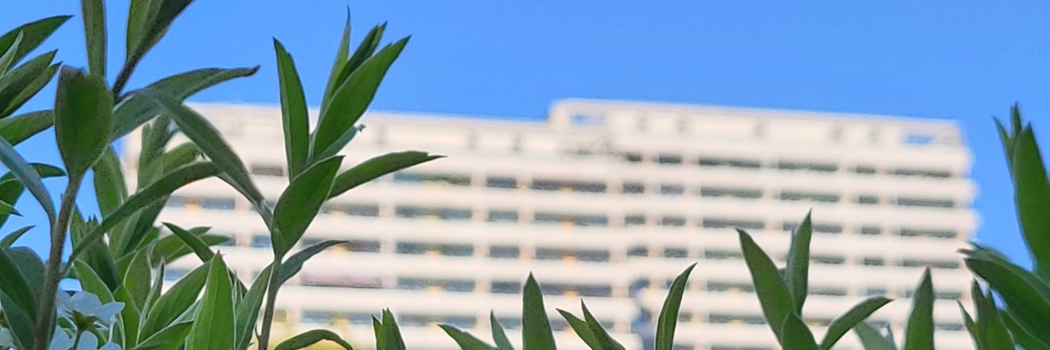 Springpfuhl's profile banner image