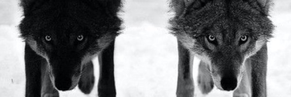 MickMulroy Profile Banner