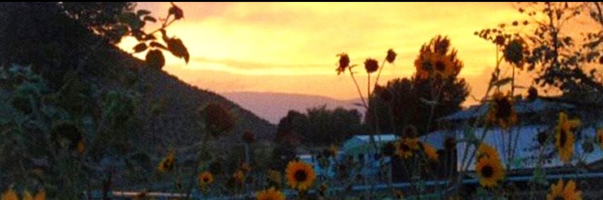 drmzhulyaa's profile banner image