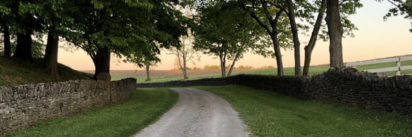 GretchenSeif Profile Banner