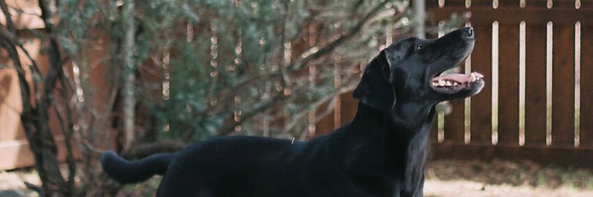 EmilTLippe's profile banner image