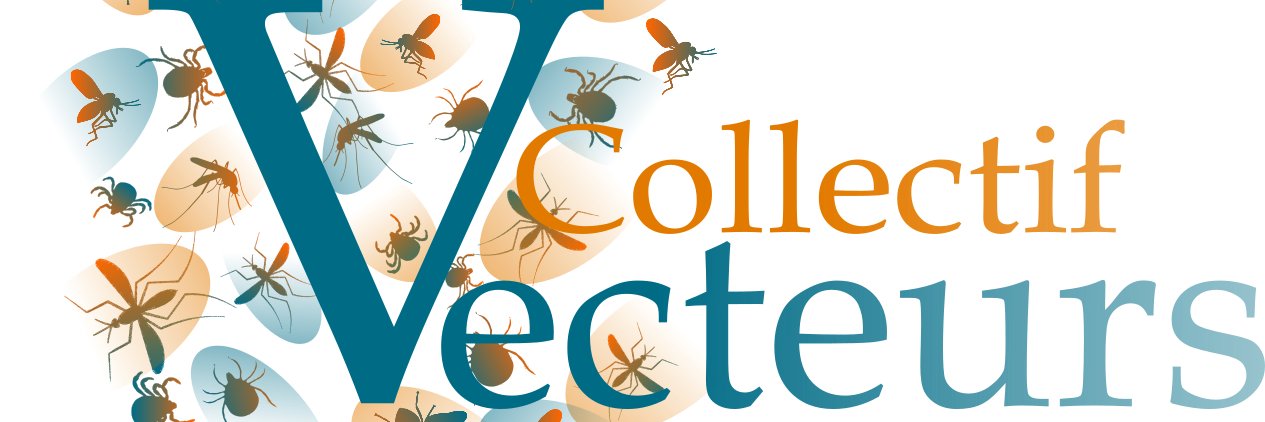 Thomas Pollet banner