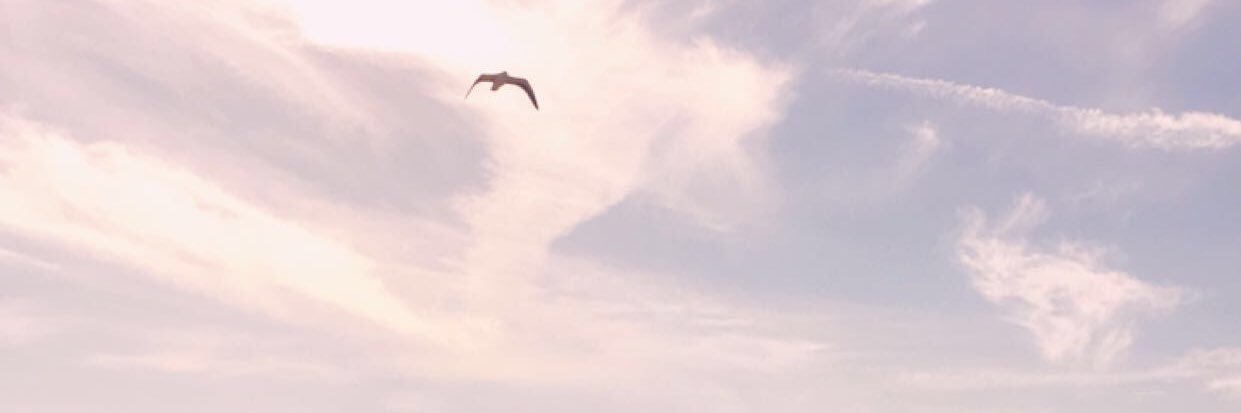 Maria_Lovedd's profile banner image