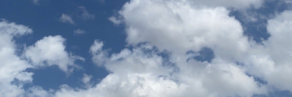 violet_a1's profile banner image