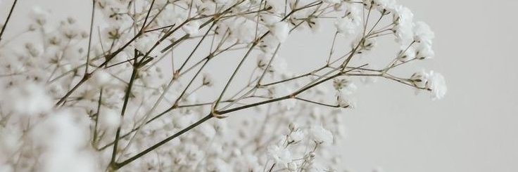 Dark_wolf_🇬🇧🇫🇷✝️ banner