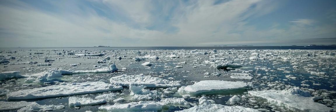 fogoislandinn's profile banner image