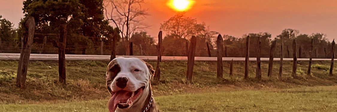 SirHectorr's profile banner image
