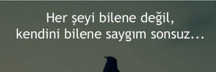 AlisaSevcankrl's profile banner image