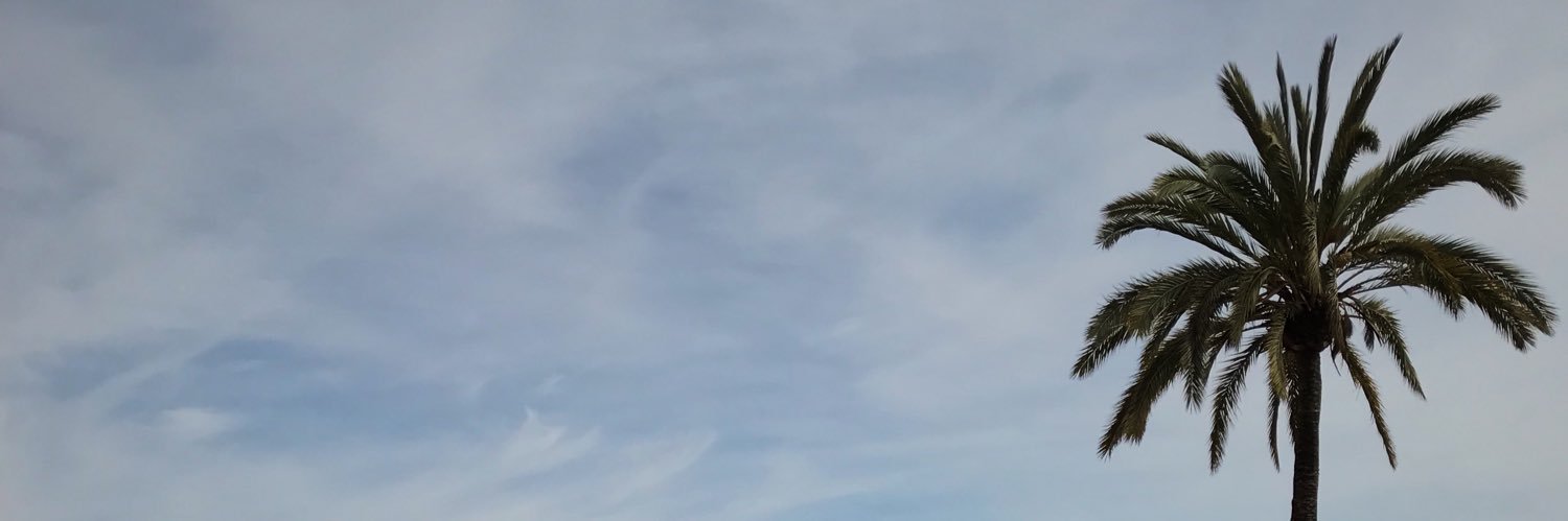 ines20219740's profile banner image