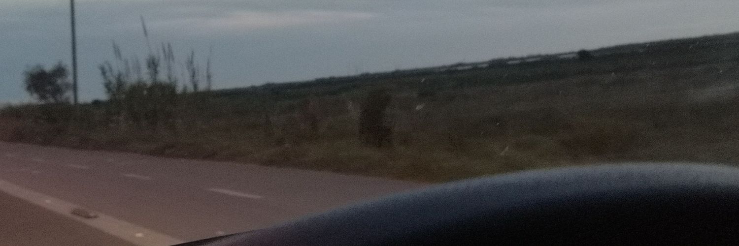 MonsterTiger7's profile banner image