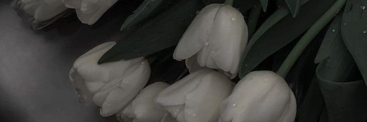 bbae4ya's profile banner image