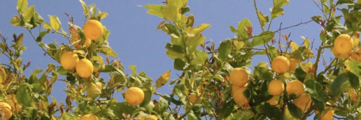 Mathilde_Pey's profile banner image