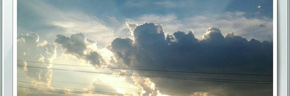 MsElizabeth32's profile banner image