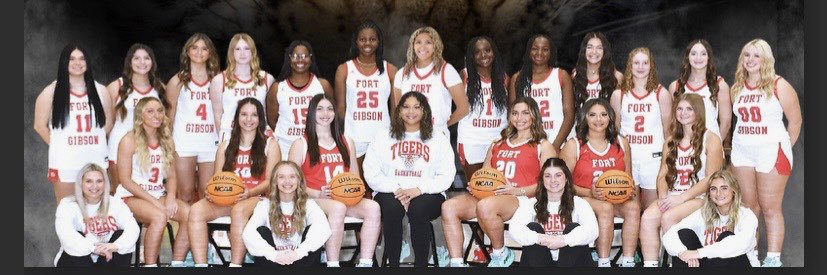 Laynee Stanley banner