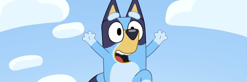 shorky banner