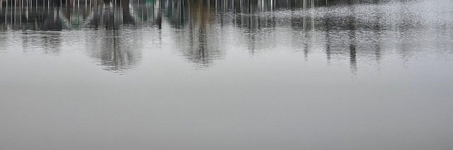 Audreycano1's profile banner image