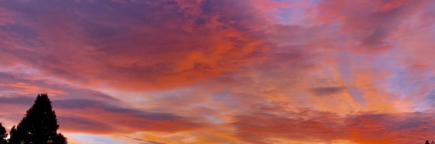 LeahDoyle23's profile banner image
