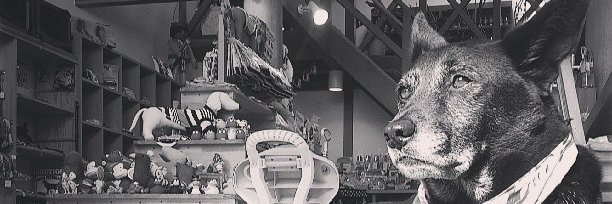 ダンキチ👓️🎯📸🎣🗻 banner