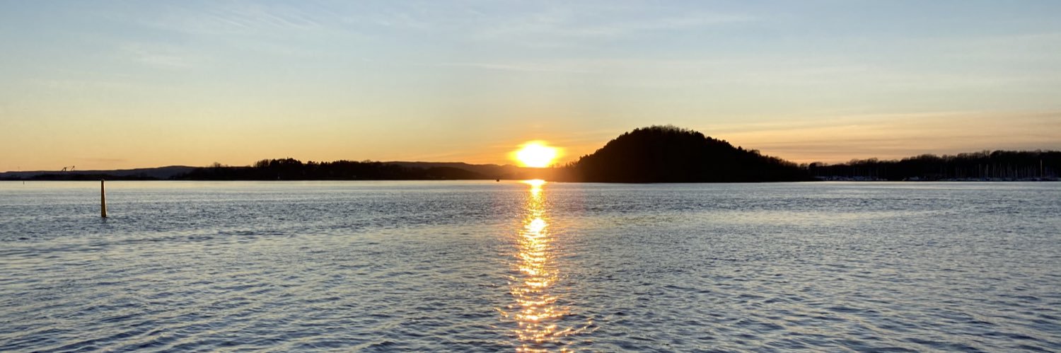 Helene Hoggen banner