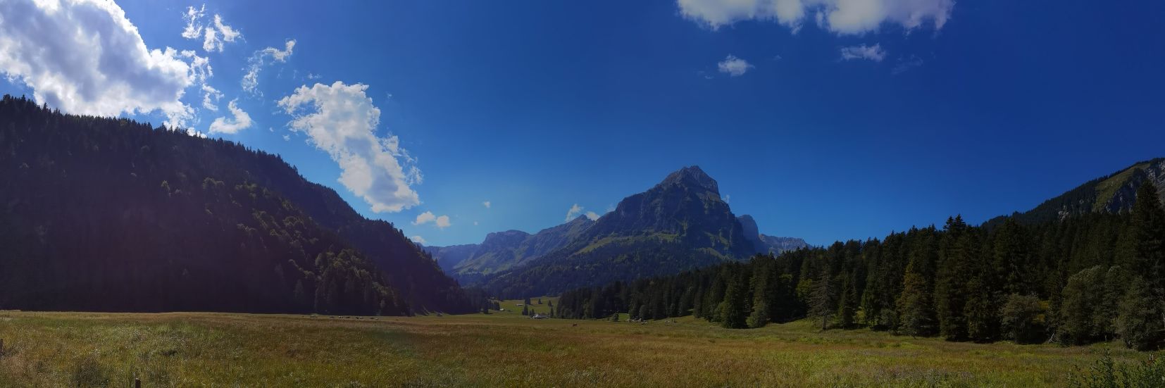 daschlapfer's profile banner image