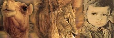 IramMugica's profile banner image