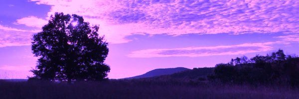 BythrowNick Profile Banner