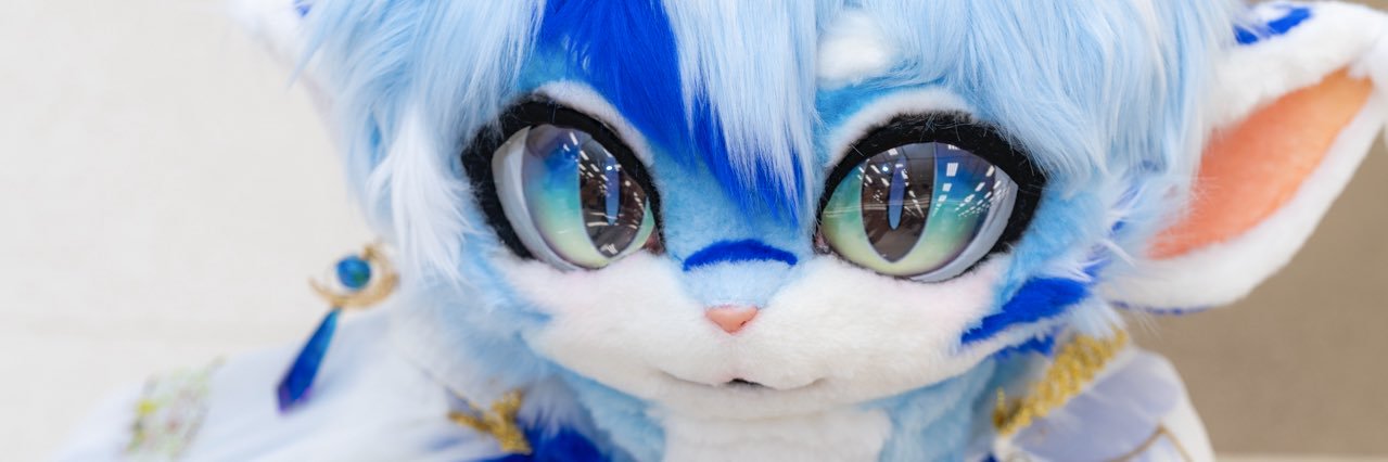 RadyWolf's profile banner image