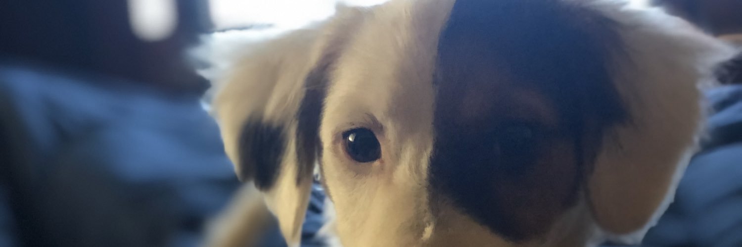 jozorutilio's profile banner image