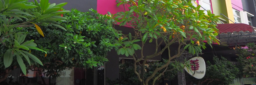Jhotel's profile banner image